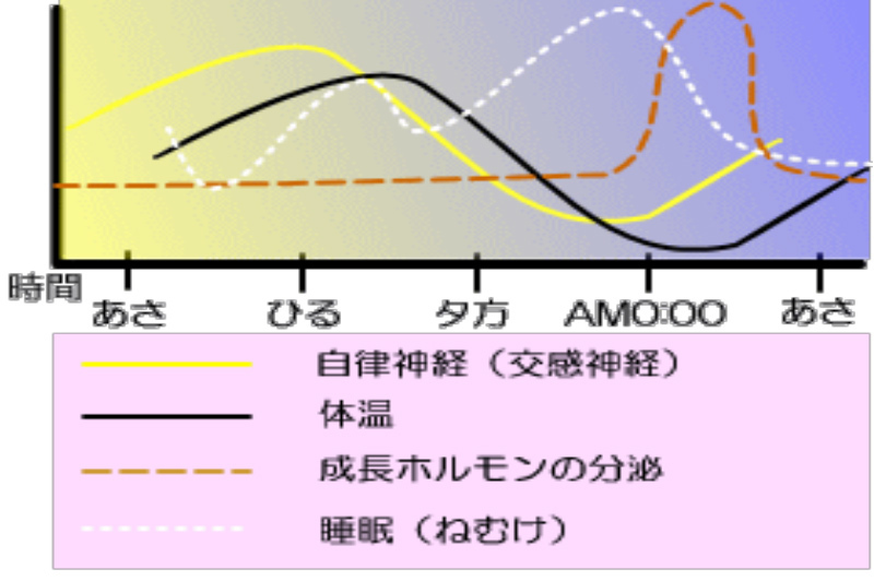 自然音を制作します 株式会社ジョイファンデーション 自然音を制作します 株式会社ジョイファンデーション